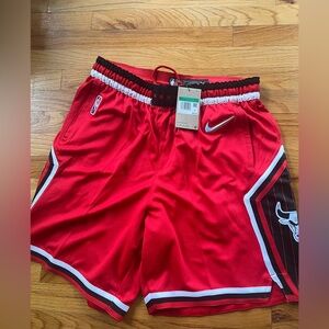 Nike Chicago Bulls 75th Swingman City Edition Shorts.Size XL